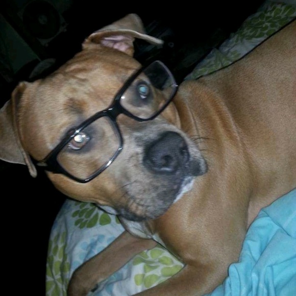 Meet your Posher, Shawna - Picture 1 of 1